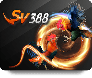 ZingPlay Uy Tín VN: Best Card Games Available